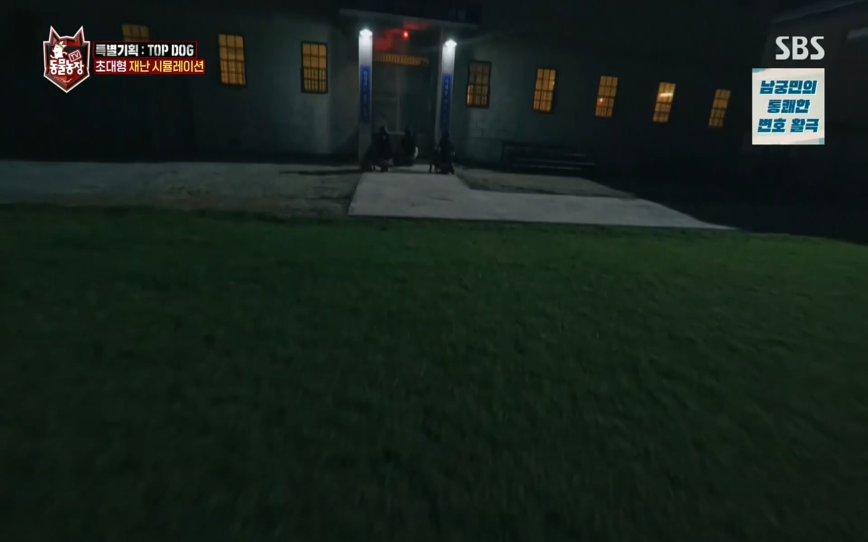 TV 동물농장.E1086.220911p.H264-F1RST.mp4_20220911_175413.078.jpg