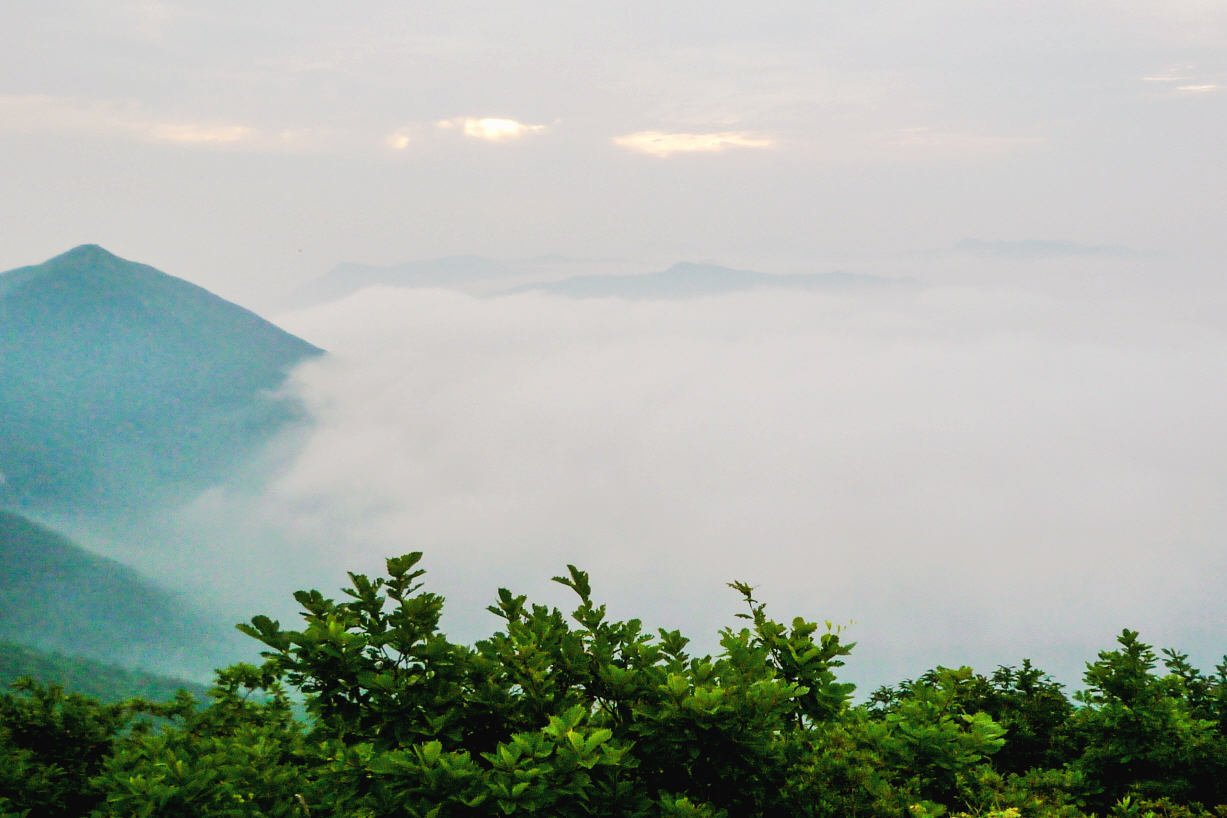 한국 명산 전남 장성 방장산 등산 mountain hiking