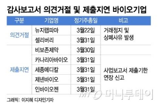 카나리바이오 주가 변동, 감사보고서 평가는? 5