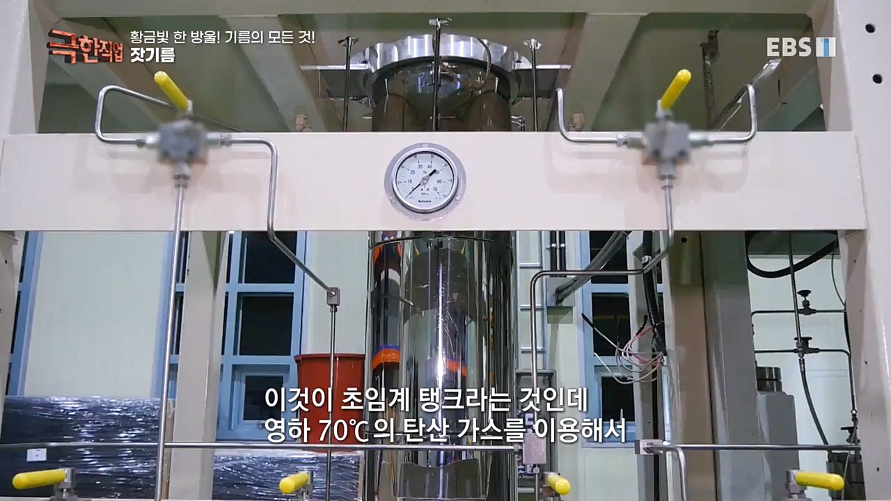TV - 교육의 중심 EBS황금빛 한 방울! 기름의 모든 것!.mp4_20221031_191540.321.jpg