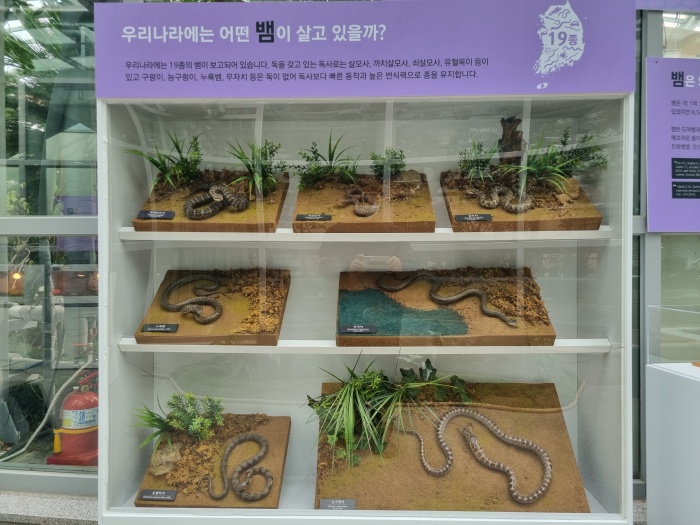 뱀전시