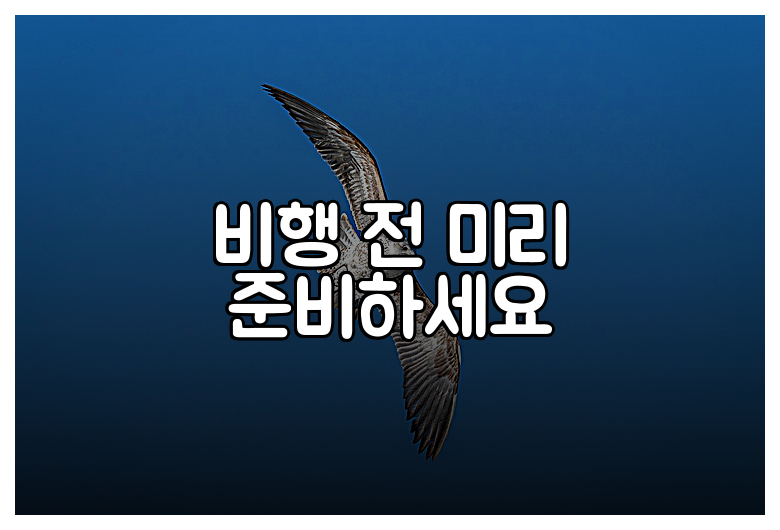 비행 전 미리 준비하세요
