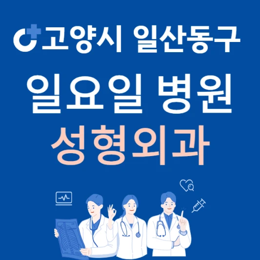 고양시-일산동구-일요일-성형외과-진료하는곳-주말에-문여는-일산-24시간-성형외과-병원-찾기