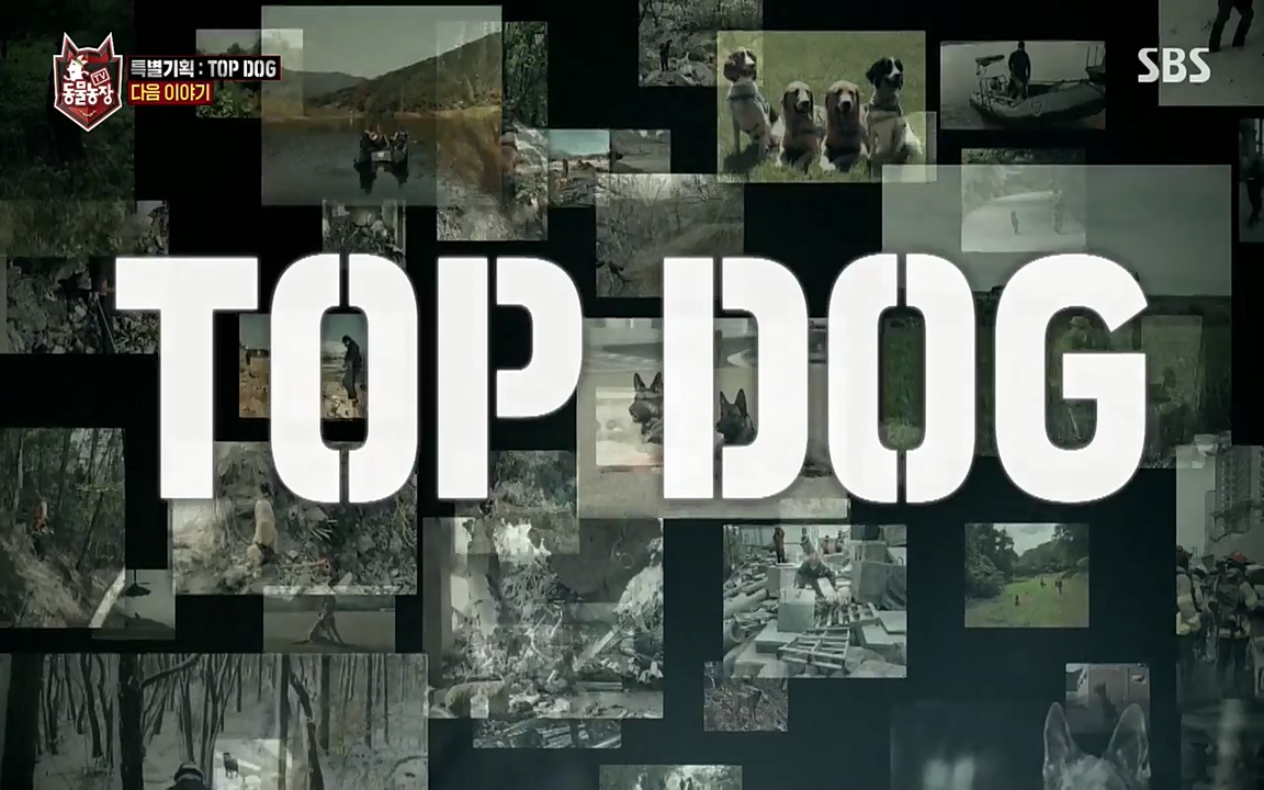 TV 동물농장.E1085.220905p-NEXT.mp4_20220904_173359.015.jpg