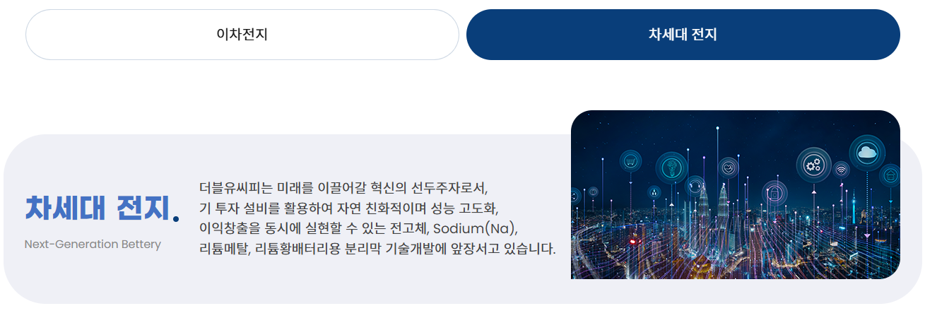 차세대전지