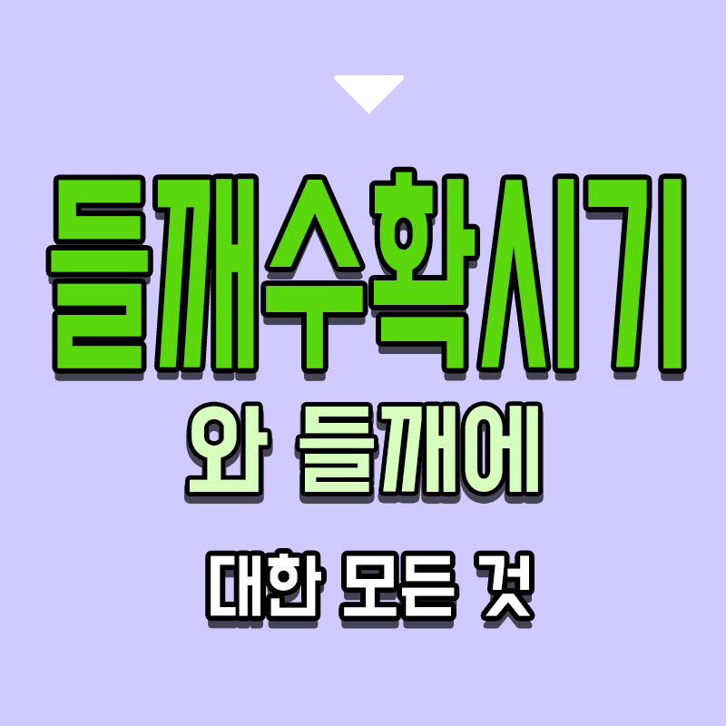 타이틀-들깨수확시기와-들깨에-대한-모든-것