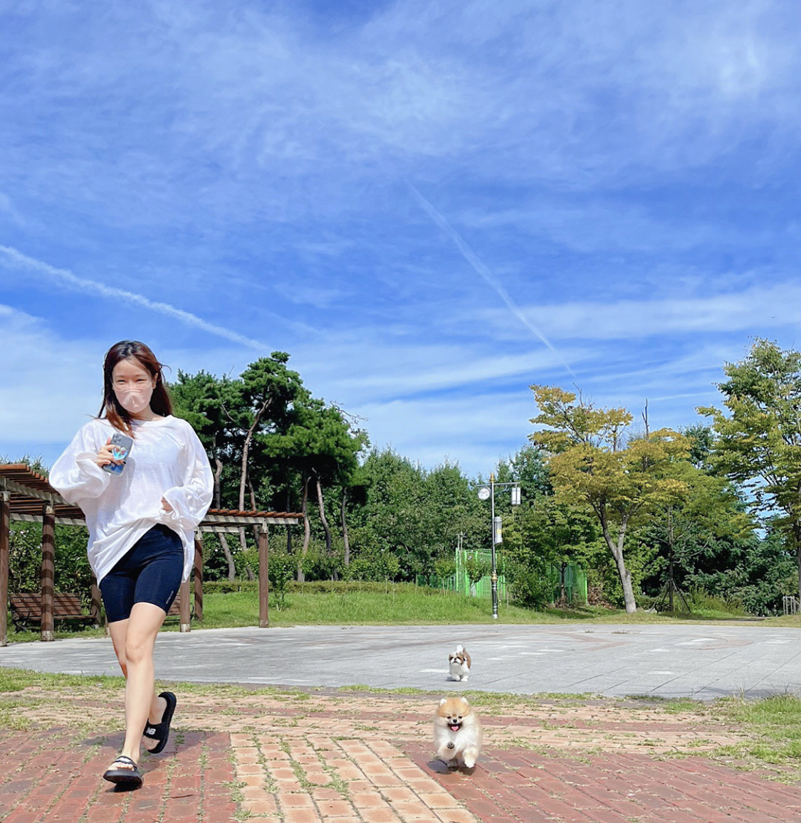 alt 태그