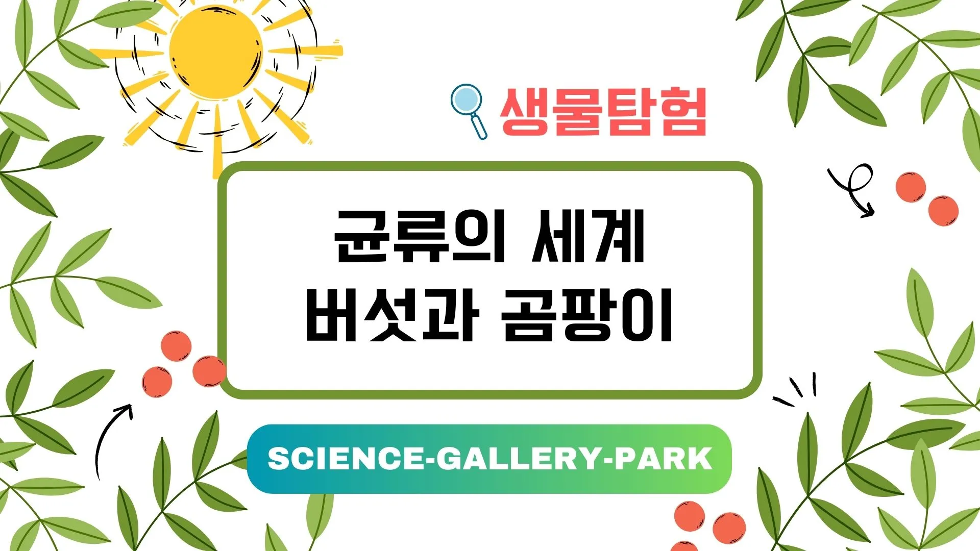 균류의 놀라운 세계: 버섯과 곰팡이의 비밀