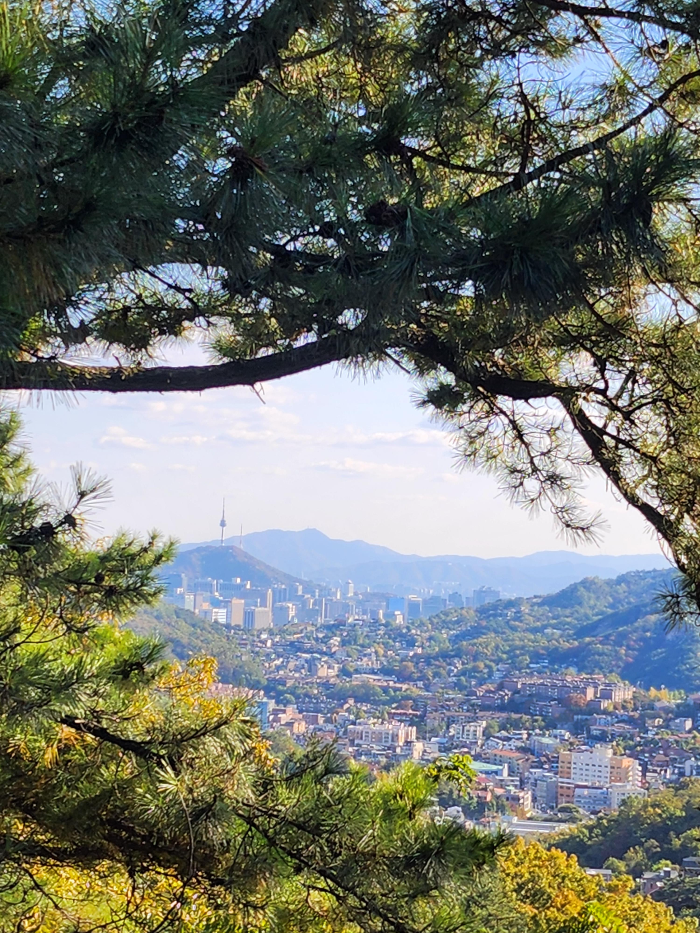 금선사에서 바라본 서울 전경