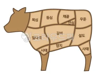 소고기 부위 가장 부드러운 순서대로 10선_5