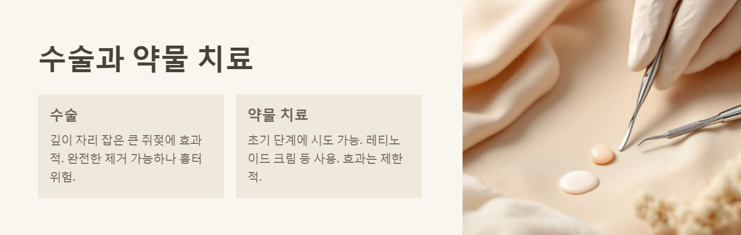 쥐젖 제거방법