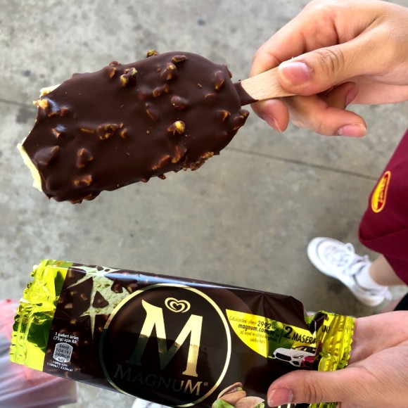 7일차 1편 :: 트로이 목마&트로이 유적지, 고등어케밥 2019. 8. 15. 댜든이의 터키 가족여행 17