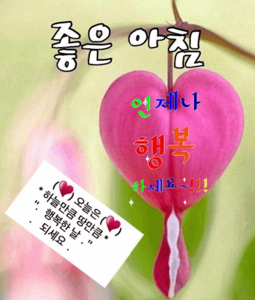  하루의 행복