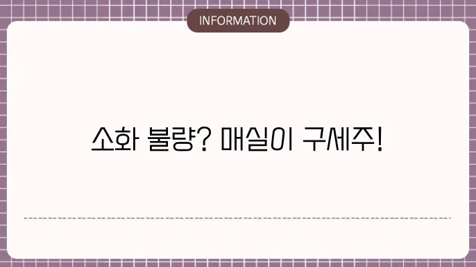 소화안될때 매실