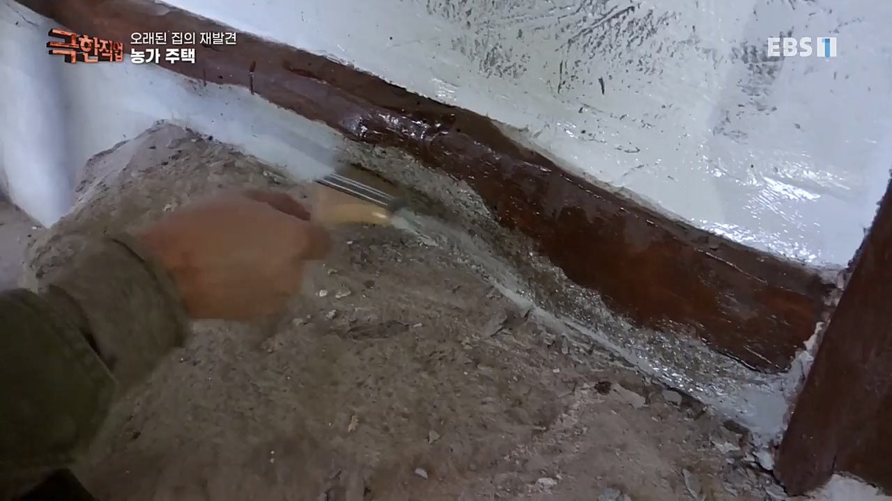 TV - 교육의 중심 EBS오래된 집의 재발견 농가와 도심 주택.mp4_20221120_152000.370.jpg