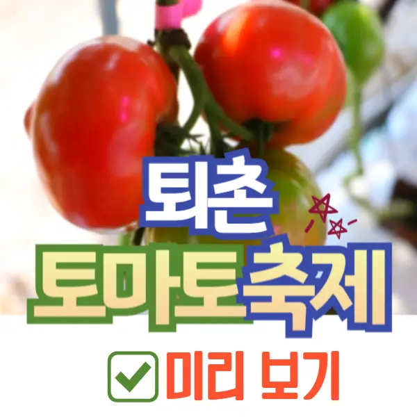 퇴촌 토마토 축제
