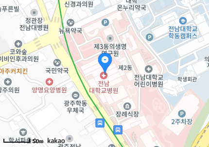 광주 동구 학동 일요일 진료 휴일 문 여는 병원