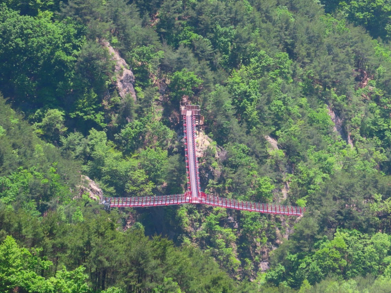 블랙야크 100+, Y출렁다리, 44