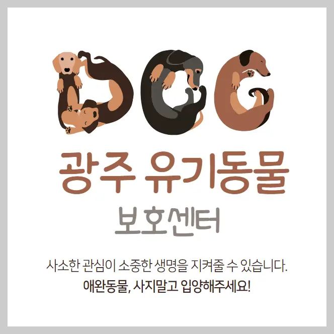  광주 유기동물보호센터 강아지 고양이 유기 동물 보호소 1곳