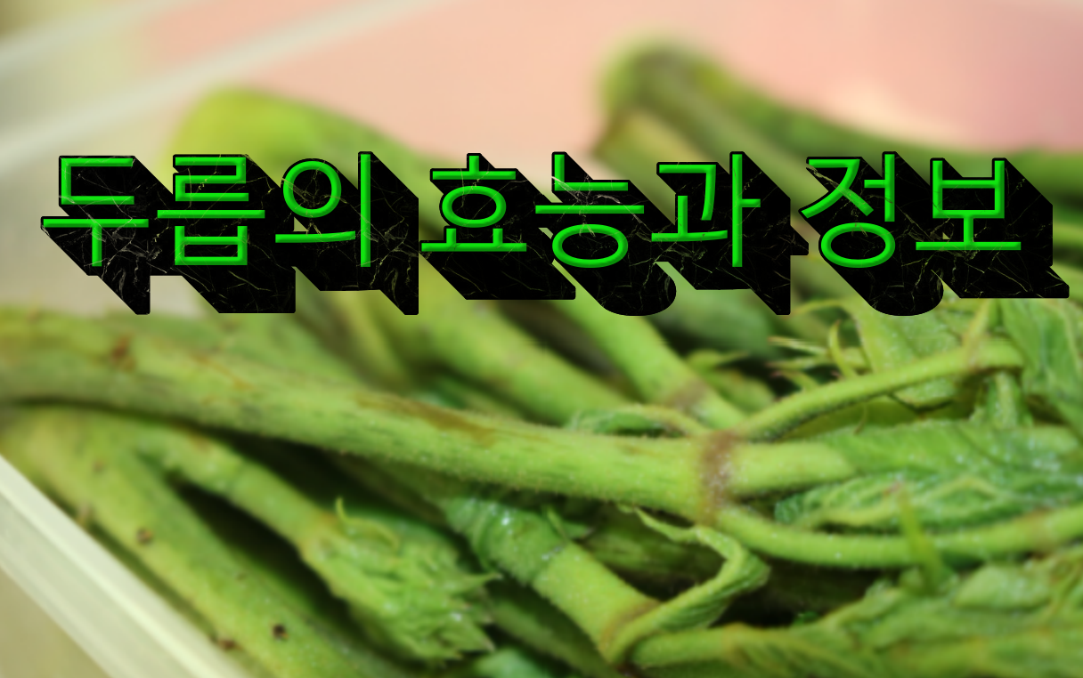메인