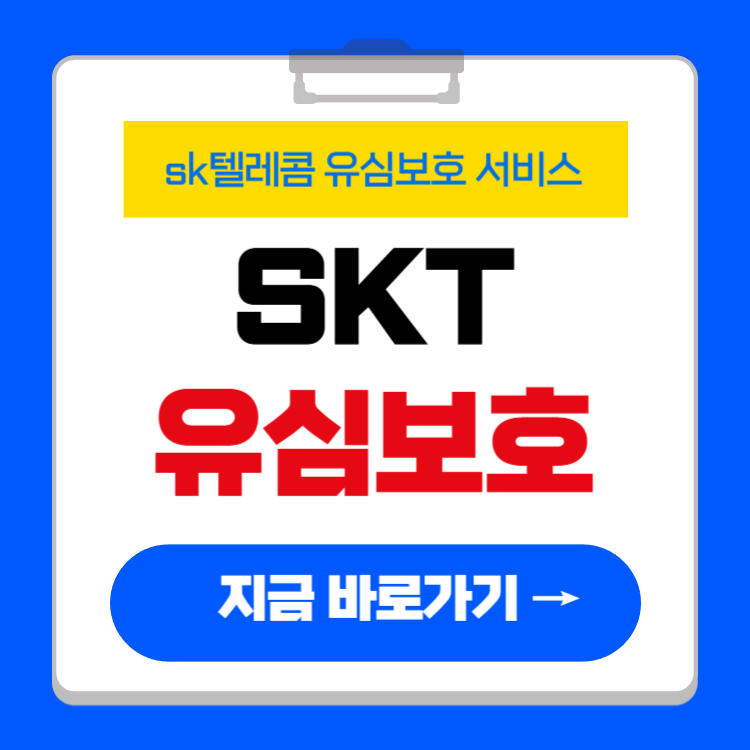 SK 유심보호 서비스