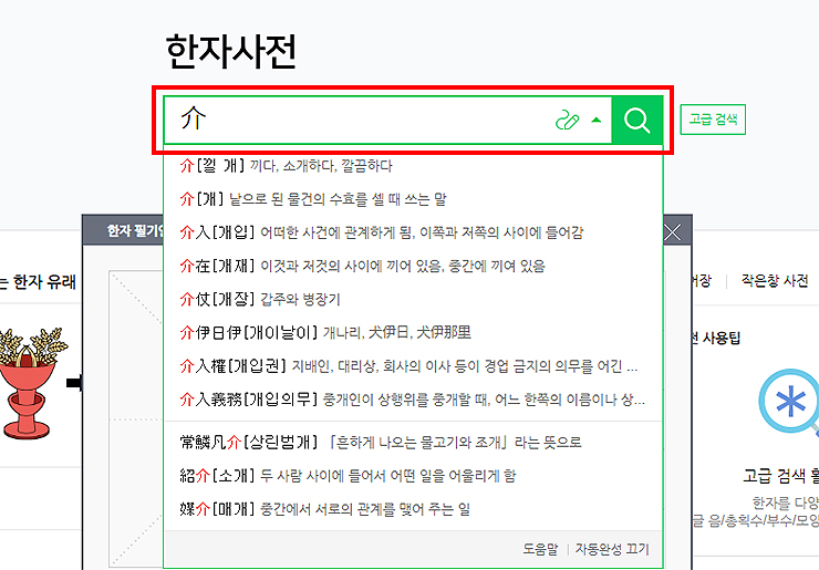 한자사전-검색-창에-한자-표시