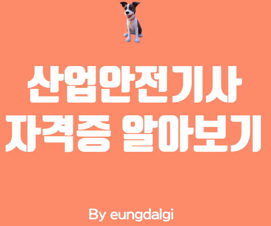  산업안전기사 자격증: 산업 현장에서 안전을 책임지다