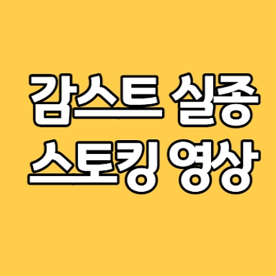  감스트 실종 스토커 영상