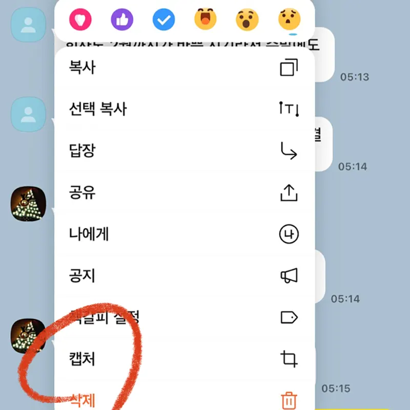 카톡-대화-내용-캡처