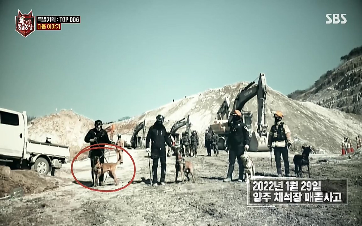 TV 동물농장.E1085.220905p-NEXT.mp4_20220904_173323.565.jpg