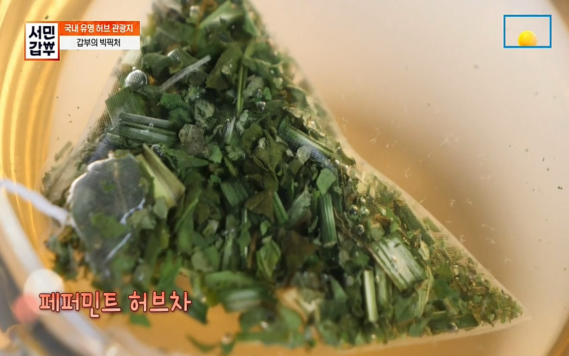 서민 갑부.E380.220424p-NEXT.mp4_20220424_184107.821.jpg