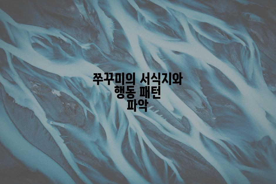 쭈꾸미의 서식지와 행동 패턴 파악