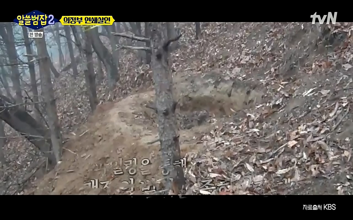 알쓸범잡 2.E16.220502p-NEXT.mp4_20220502_181337.063.jpg