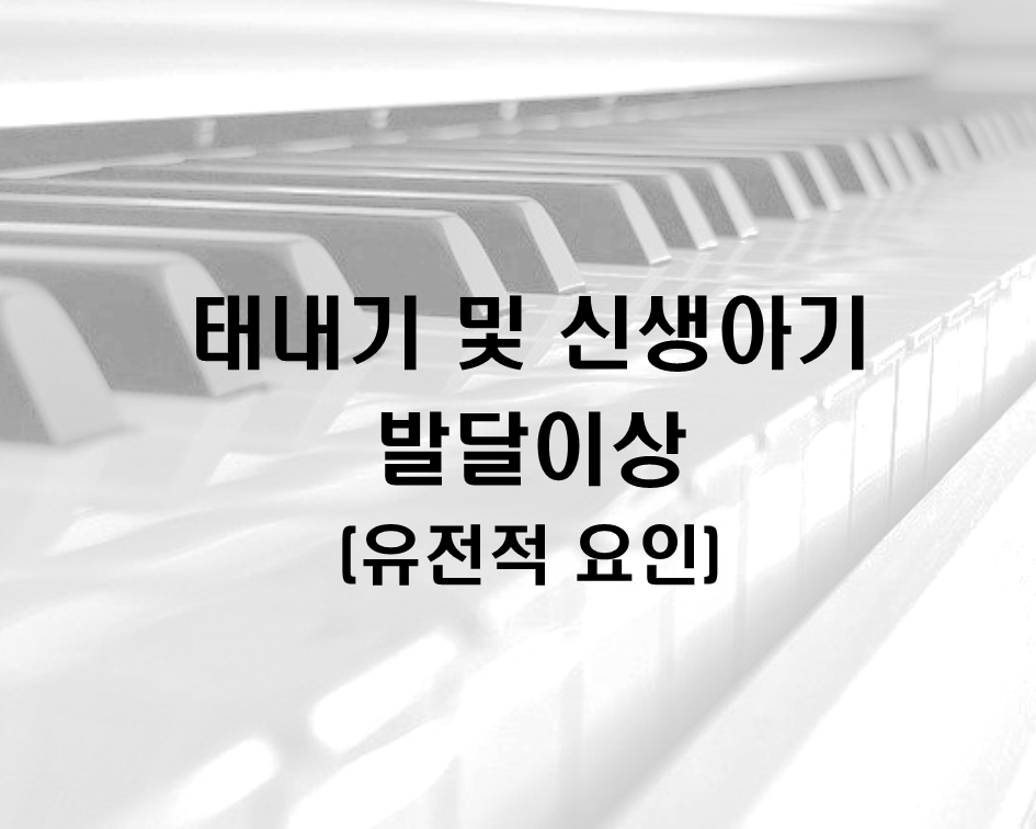  태내기 및 신생아기 발달이상 - 환경적 요인