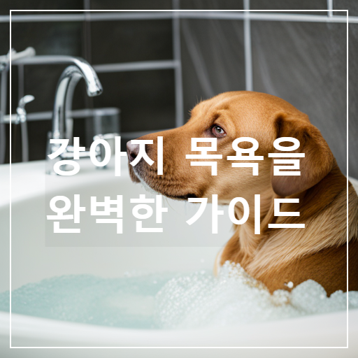 강아지 목욕