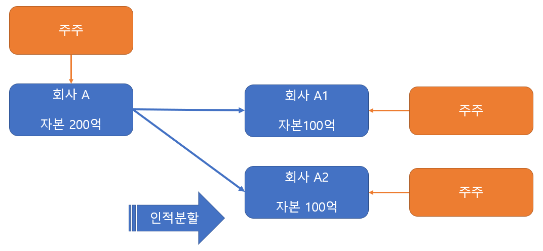  인적분할이 지배주주에게만 유리한 이유 지주사 전환 자사주 마법 유상증자 현물출자에 대해서 설명드리겠습니다.