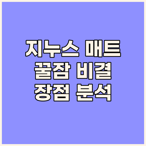 지누스 그린티 메모리폼 매트리스 장점