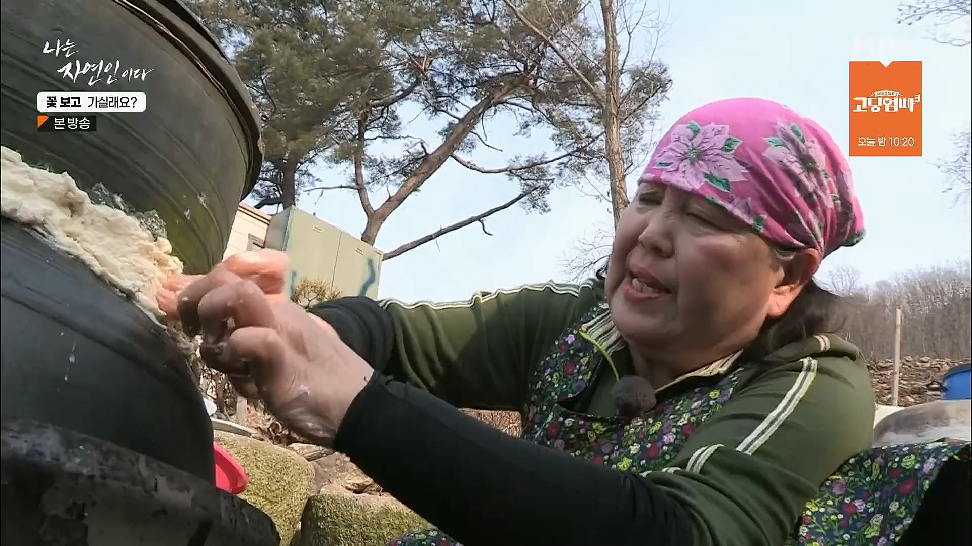 나는 자연인이다.E545.230315p.H264-F1RST.mp4_20230316_212104.679.jpg