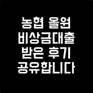 농협_올원_비상금대출