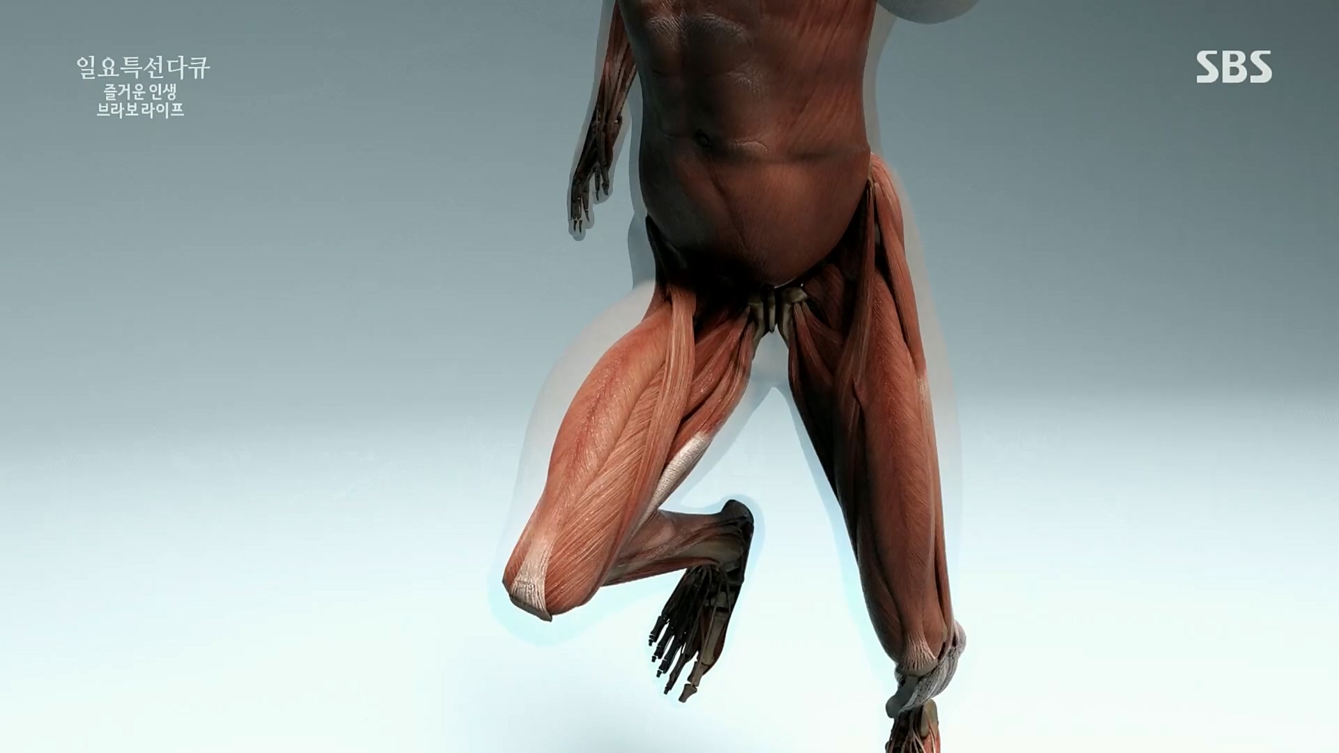 일요 특선 다큐멘터리.E292.221016p.H264-F1RST.mp4_20221018_183608.413.jpg