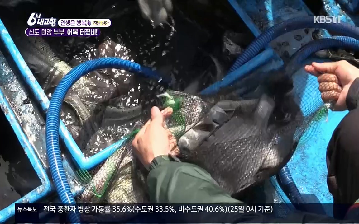 6시 내고향.E7518.220426p.H264-F1RST.mp4_20220504_192823.307.jpg