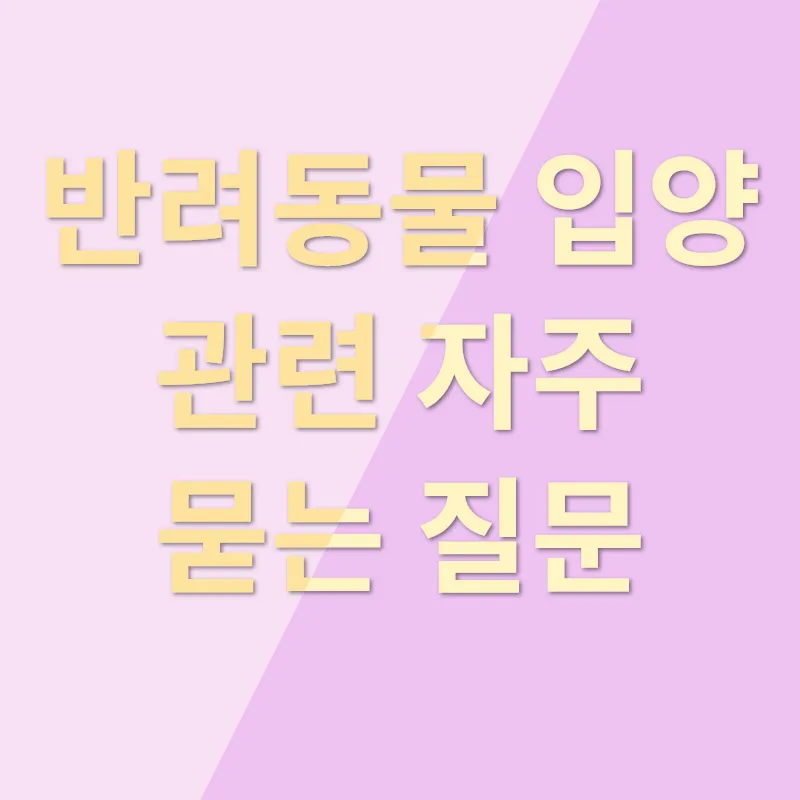 반려동물 입양_4