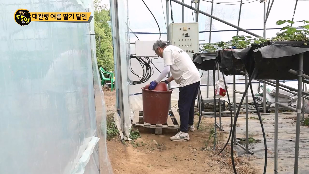 생활의 달인.E941.240625p-NEXT.mp4_20240625_211152.458.jpg