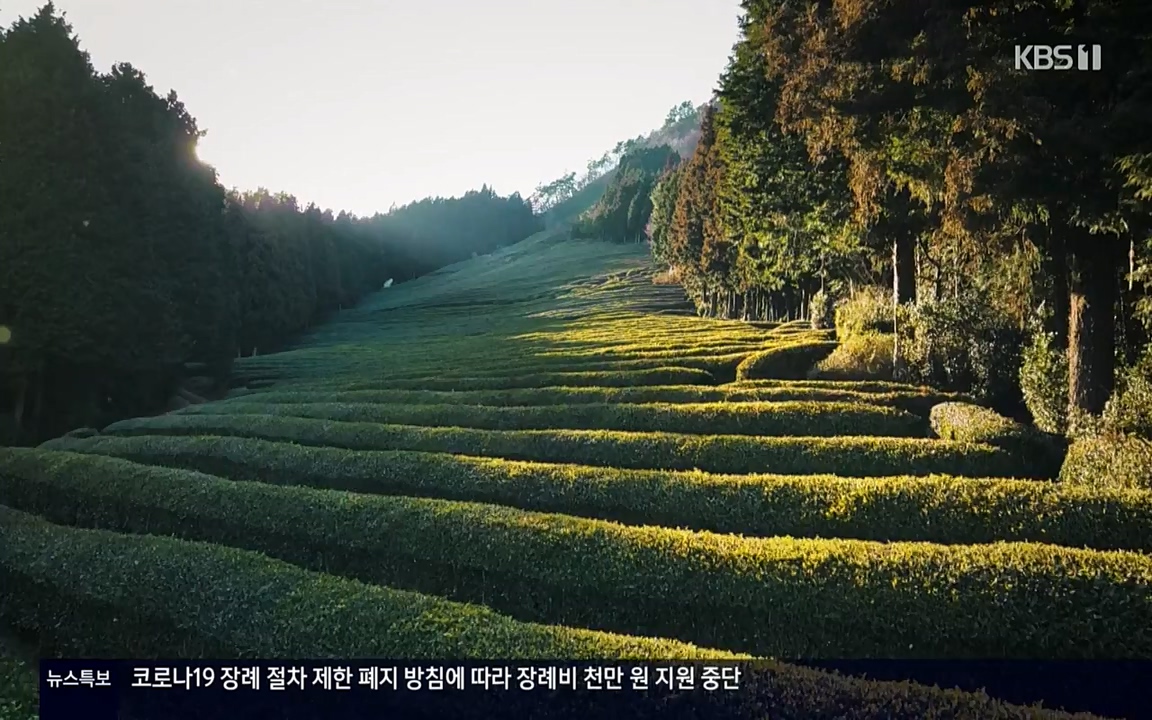 다큐 온.E133.220402p-NEXT.mp4_20220405_190356.573.jpg