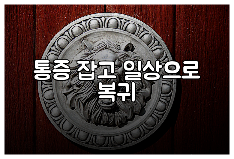 통증 잡고 일상으로 복귀
