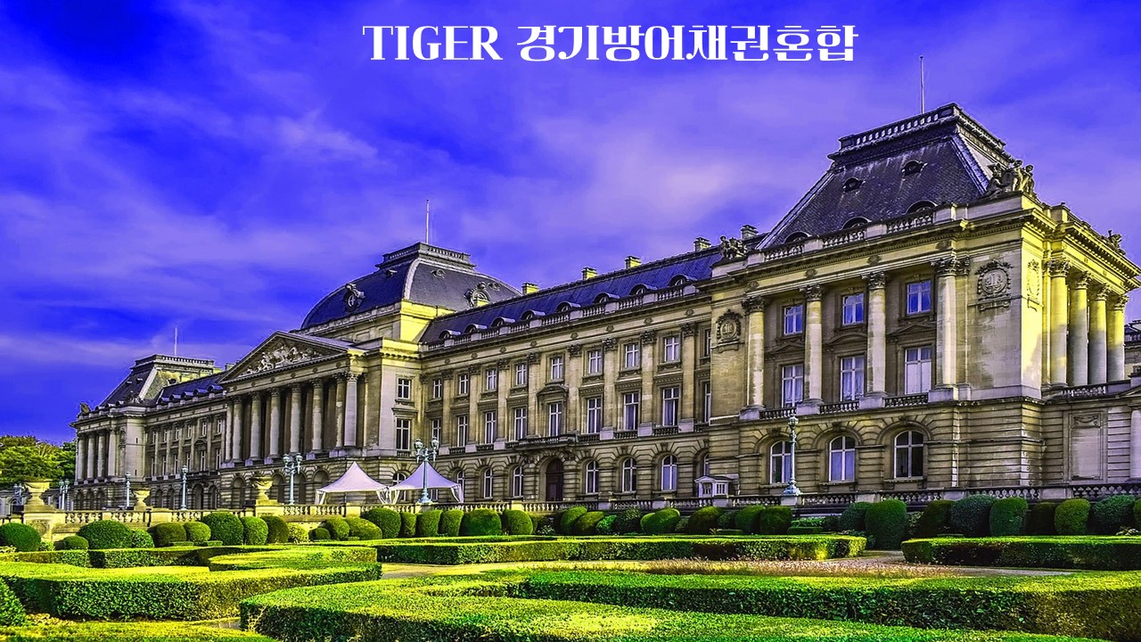  TIGER 경기방어채권혼합/237440