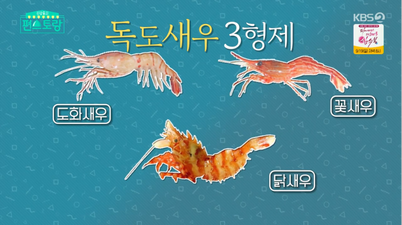 독도새우