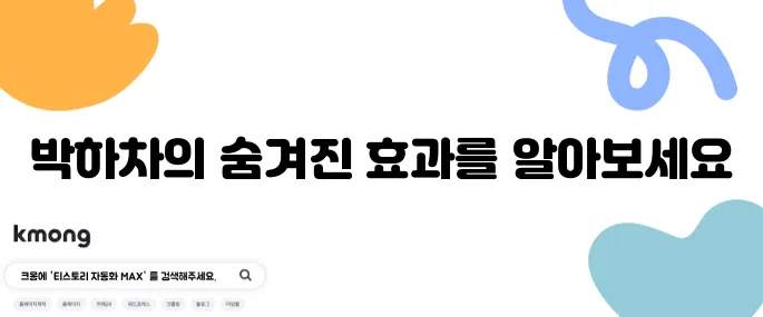박하차의 10가지 효능과 그에 따른 부작용을 알아보자