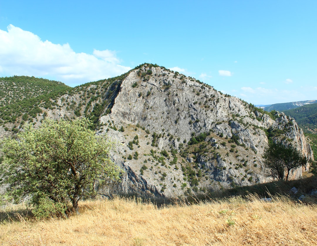 Aphthous