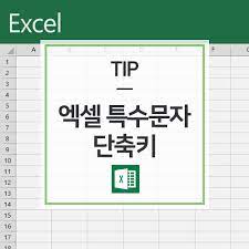 엑셀에서 방향키로 특수문자 사용하는 방법